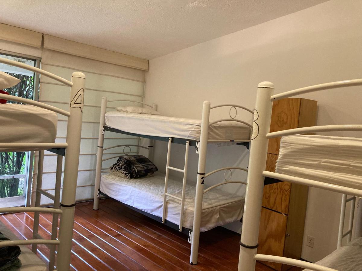 Cuija Coyoacan Berlin 268 Coyoacan Affittacamere 2*