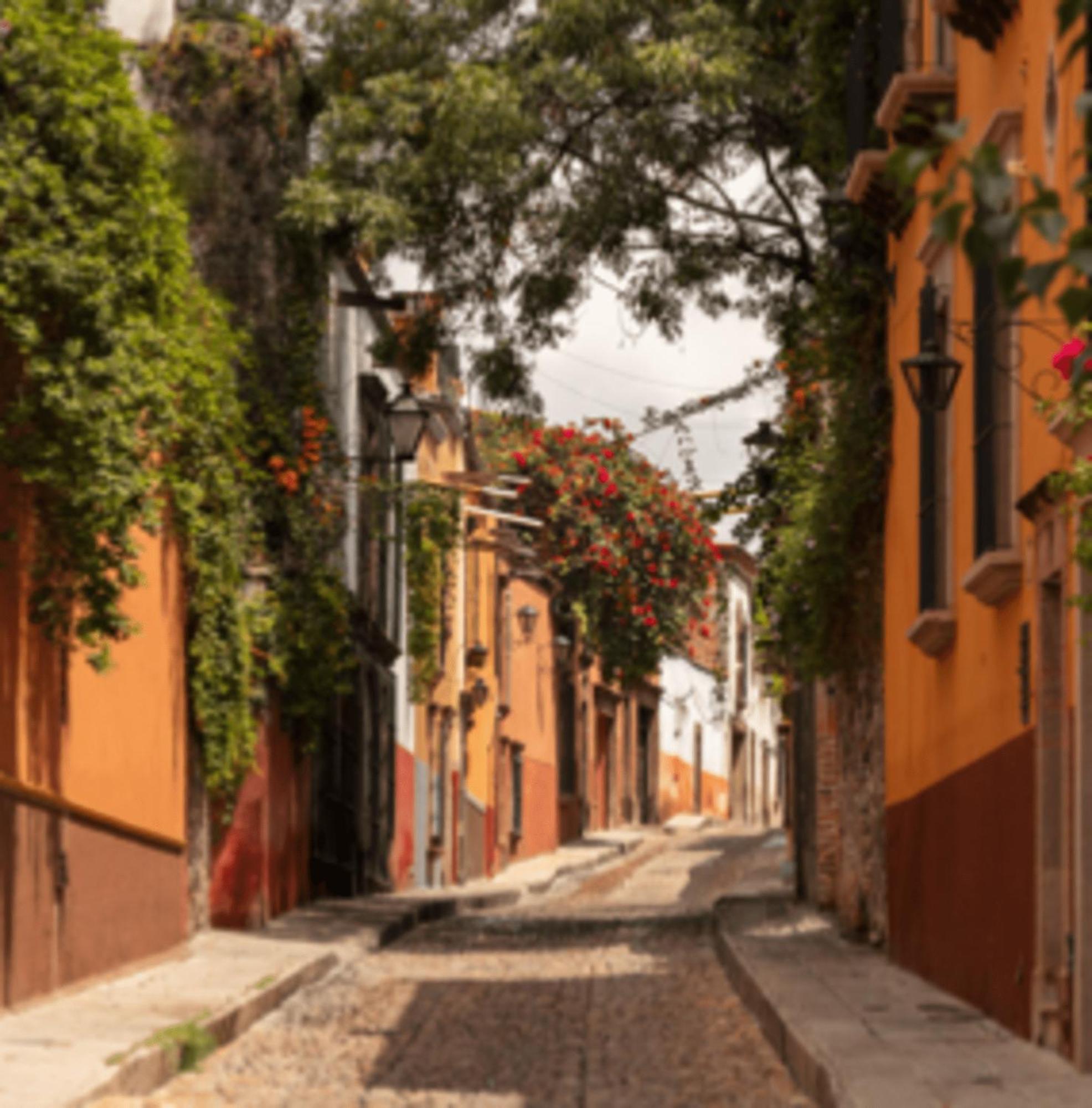 Cuija Coyoacan Berlin 268 Coyoacan Affittacamere